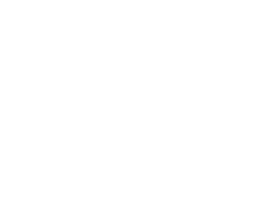 NSN Logo