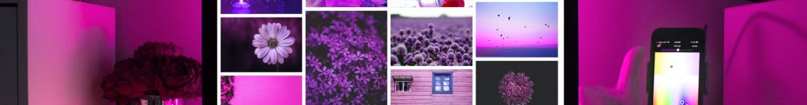 126476387_163638402136332_951790093007324341_o Web Design Request for Quote